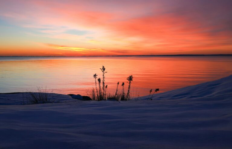 The Difference Between Branding and Positioning in Peptides