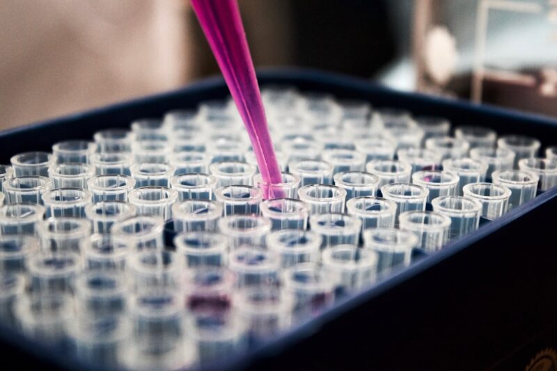 Purity Testing HPLC Purity Testing: What 98%+ Means for Your R... | Your...
