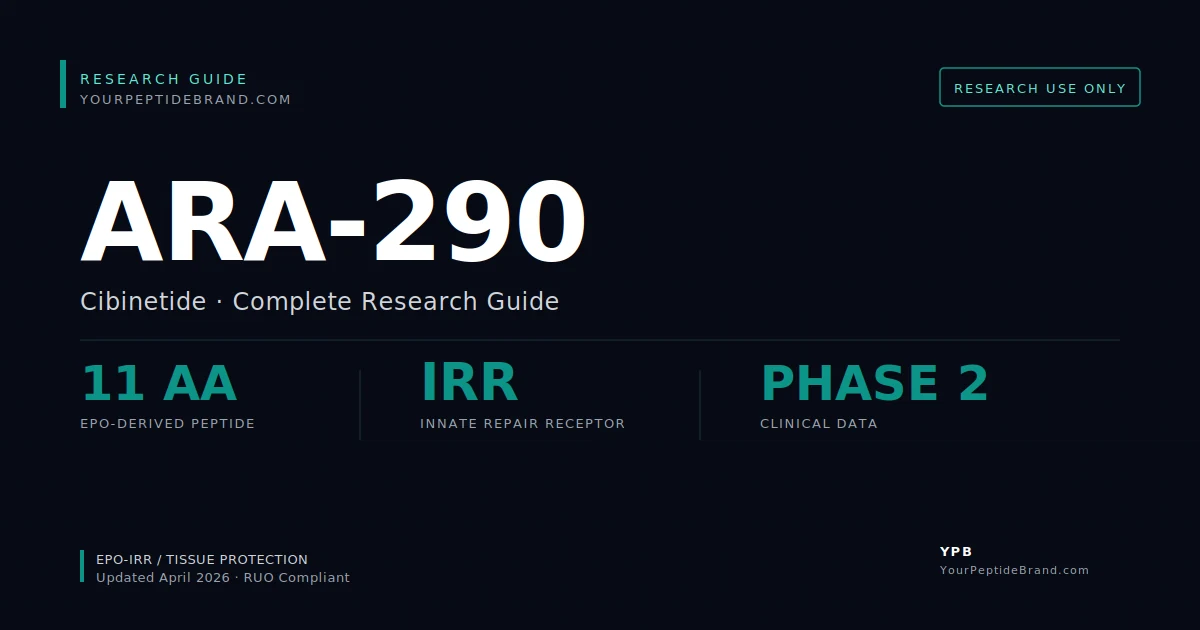 Research-grade Ara 290 peptide — YPB white-label research compound