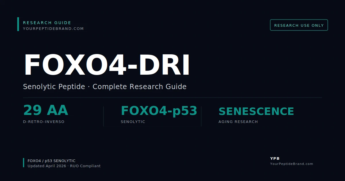 Research-grade Foxo4 Dri peptide — YPB white-label research compound