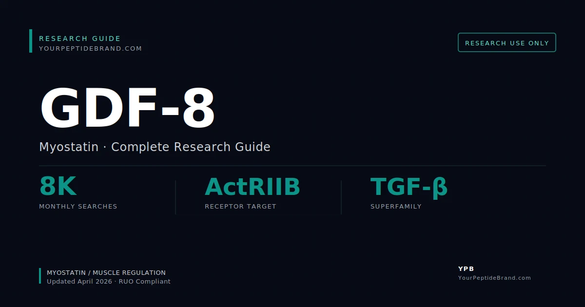 Research-grade Gdf 8 Myostatin peptide — YPB white-label research compound