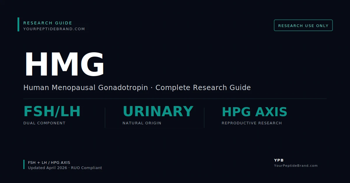 Research-grade Hmg Peptide peptide — YPB white-label research compound