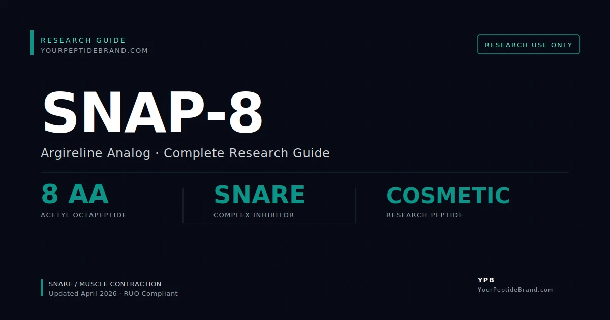 Research-grade Snap 8 peptide — YPB white-label research compound